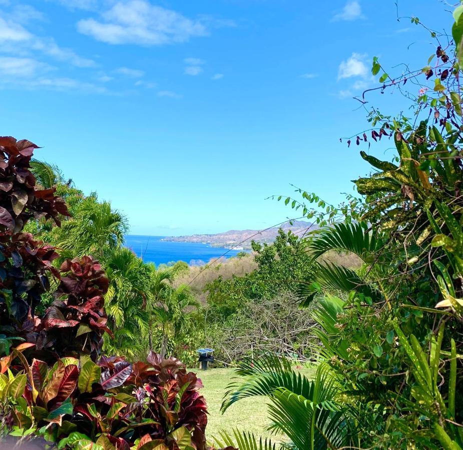 Lodge Colibris Piscine Privee Vue Panoramique Mer Et Montagne Pelee , 500 M Plage Dans Un Parc , Calme Assure Ideal Pour Decouvrir Le Nord Caraibes Λε Καρμπέ Εξωτερικό φωτογραφία