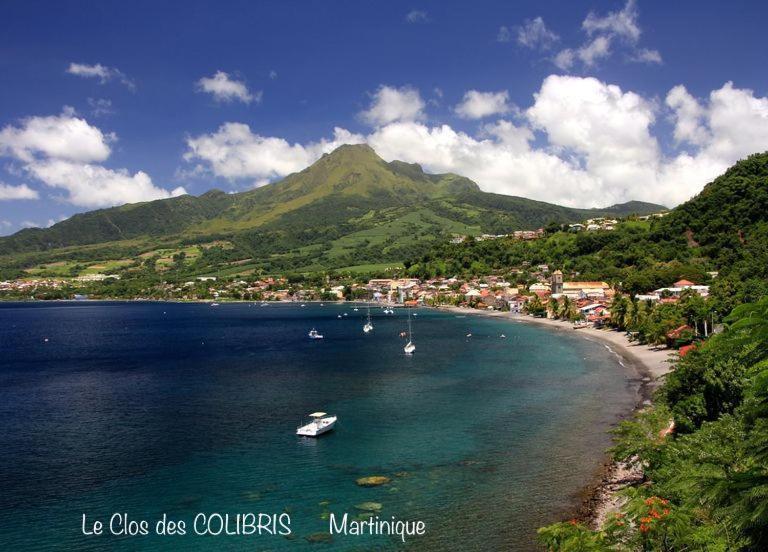 Lodge Colibris Piscine Privee Vue Panoramique Mer Et Montagne Pelee , 500 M Plage Dans Un Parc , Calme Assure Ideal Pour Decouvrir Le Nord Caraibes Λε Καρμπέ Εξωτερικό φωτογραφία