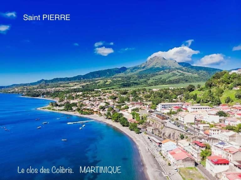 Lodge Colibris Piscine Privee Vue Panoramique Mer Et Montagne Pelee , 500 M Plage Dans Un Parc , Calme Assure Ideal Pour Decouvrir Le Nord Caraibes Λε Καρμπέ Εξωτερικό φωτογραφία